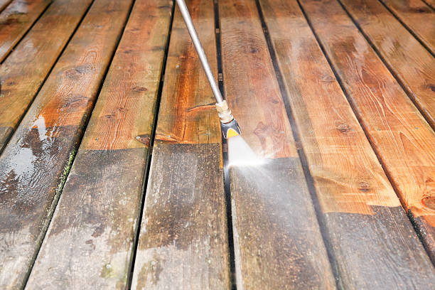 Animal Enclosure Cleaning in Bainbridge, GA